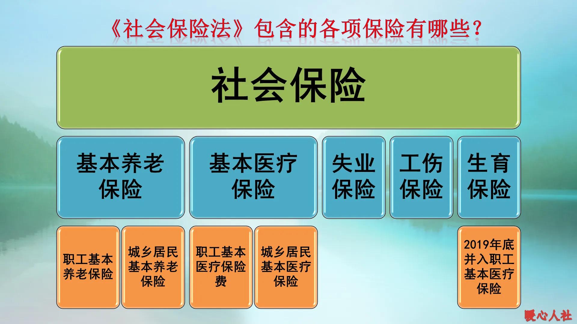 参加社会保险有没有必要？看看它们有哪些作用？该从何时参保？