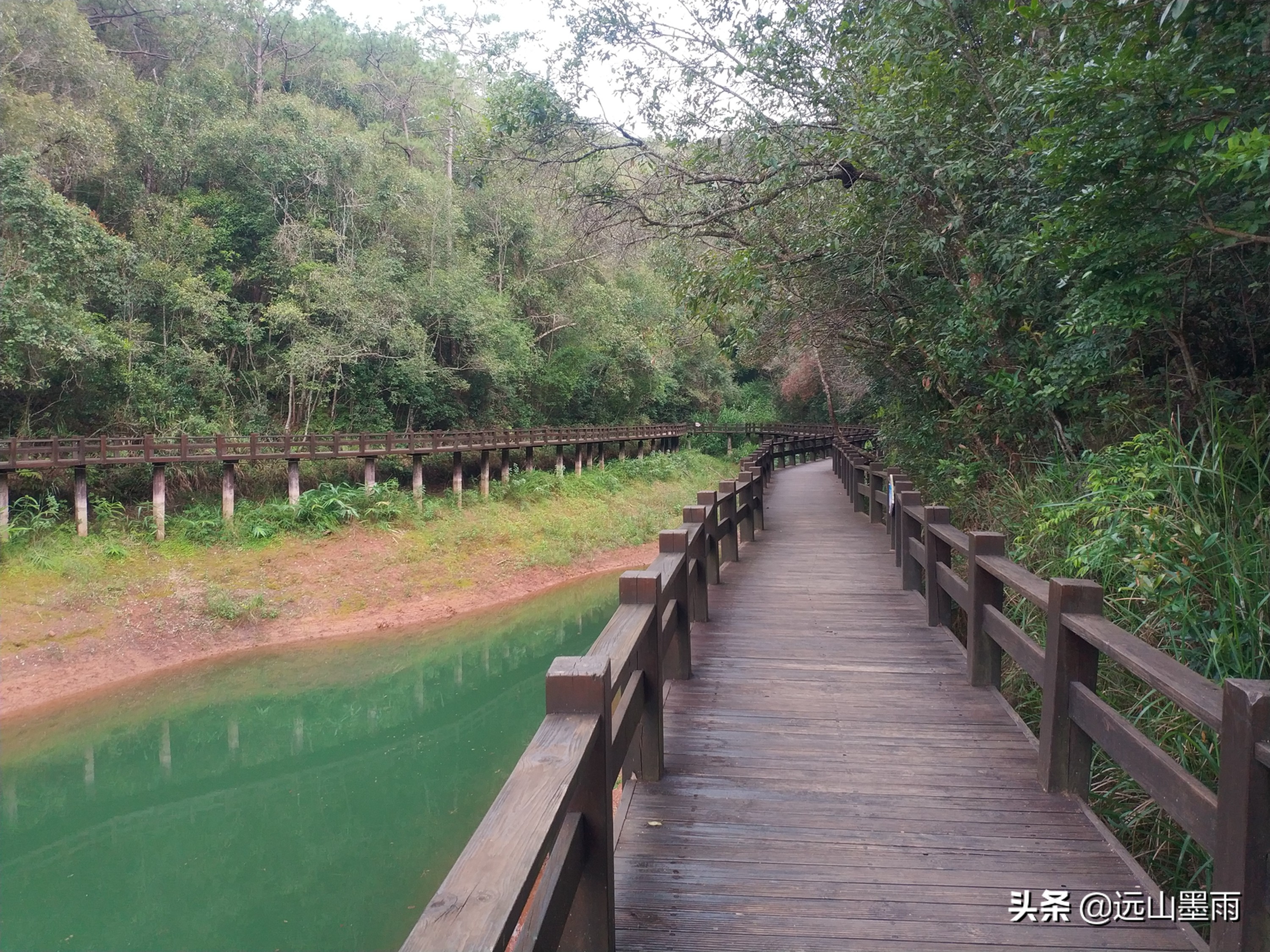 洗马湖、梅子湖、南部湿地公园，假期去云南普洱，有很多好玩场