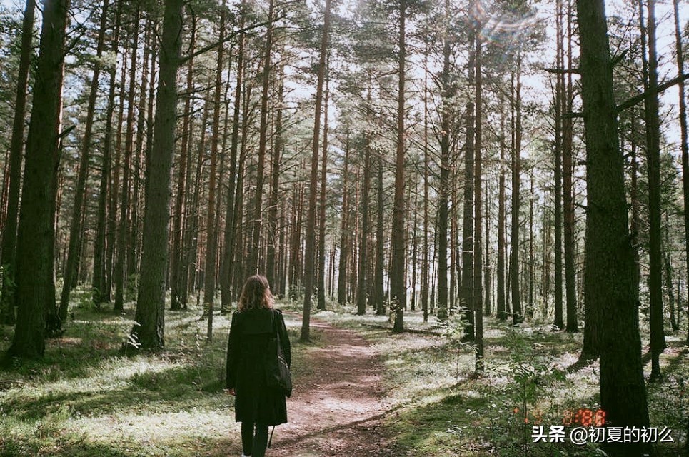 物是人非的伤感句子 | 你说，时光不老，我们不散