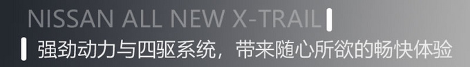 全面进化带来哪些焕新魅力？老车主体验全新一代奇骏