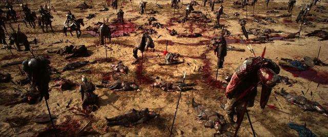 鸽子下面一只死羊图片(一起鸽子引发的惨案) - 赤虎壹号