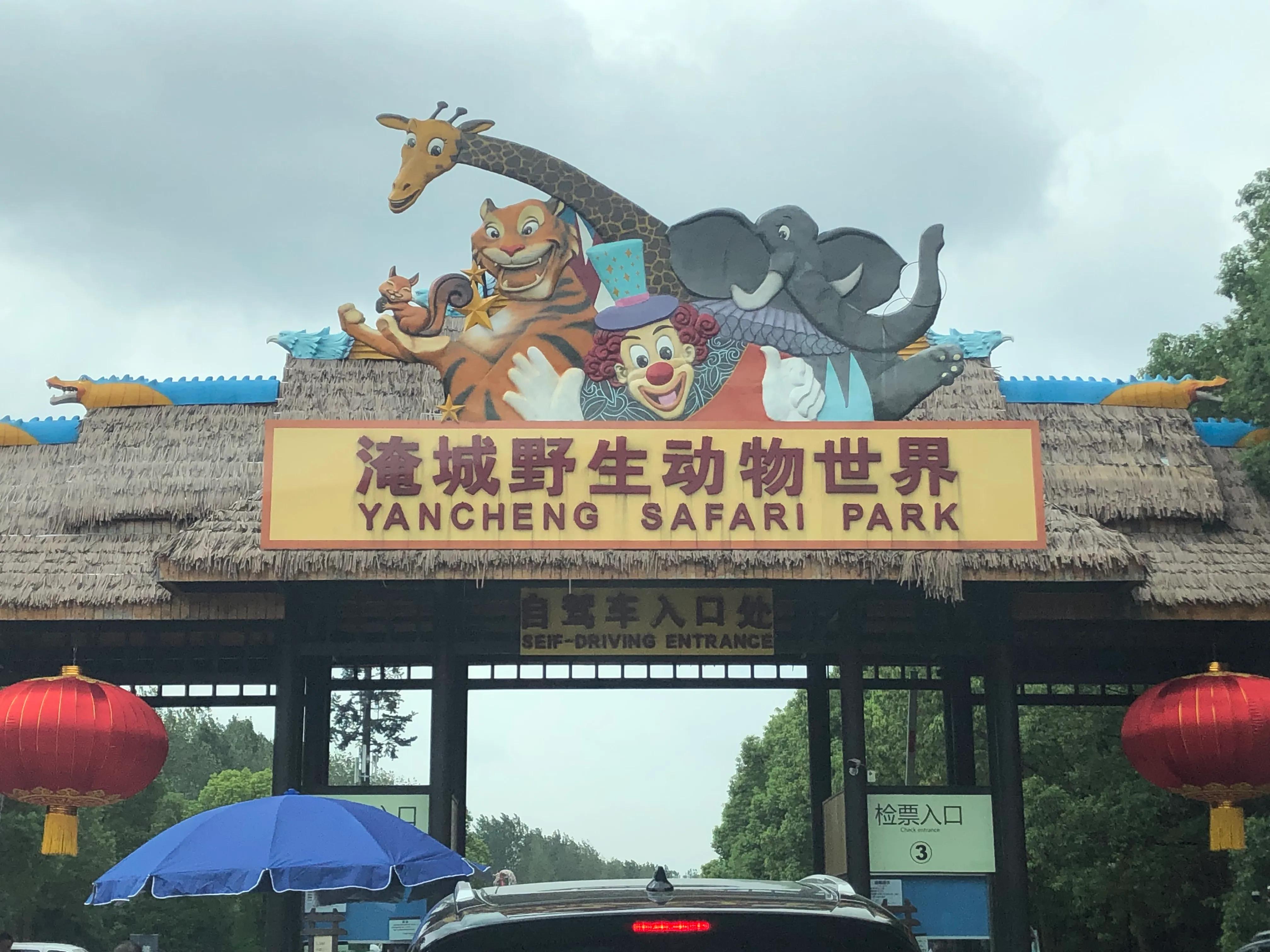 在江苏哪个动物园更好玩
