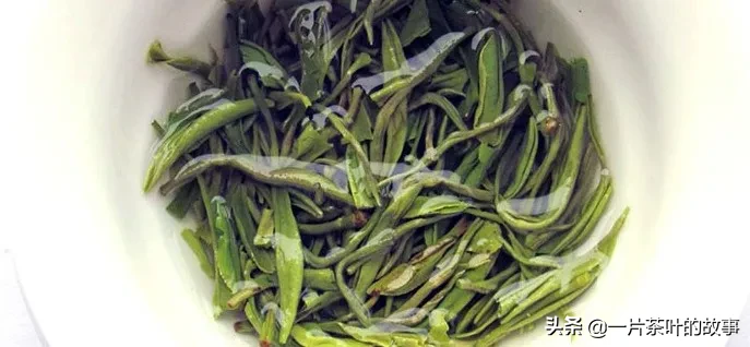 十大名优绿茶背后的传说，你知道几个？
