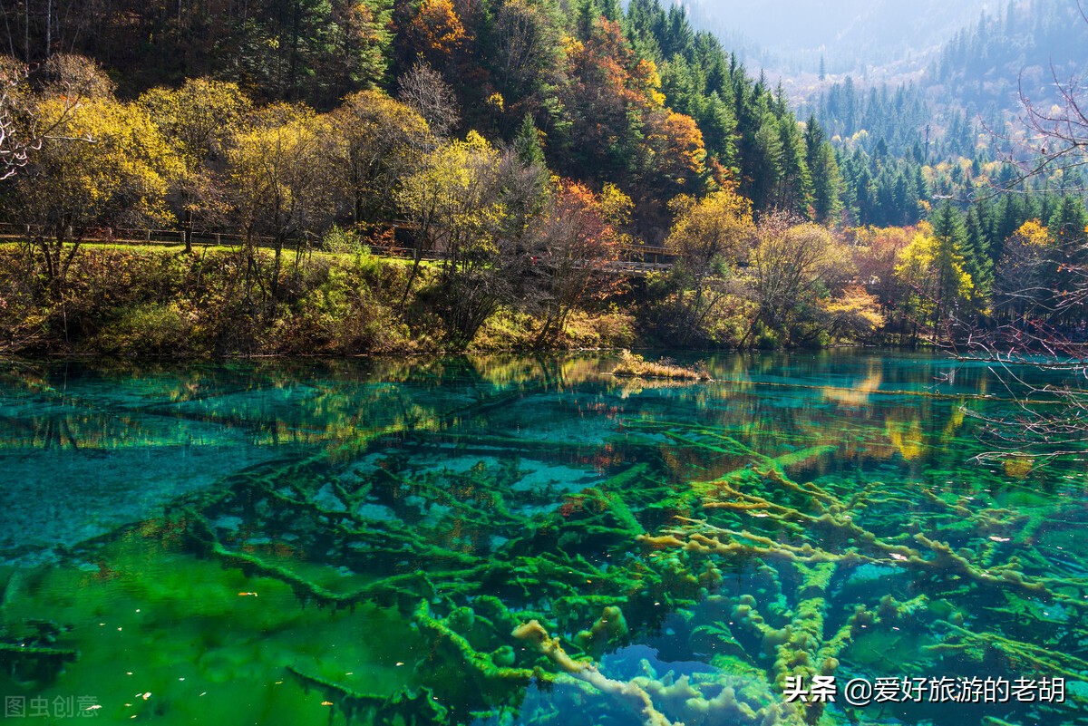 秋天旅游一定要去的3个景区，每个都美得让人沉醉，可惜时间太短