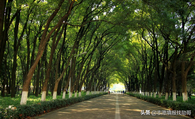 华中科技大学专业录取分大比拼！王者or青铜？推荐3大黄金专业