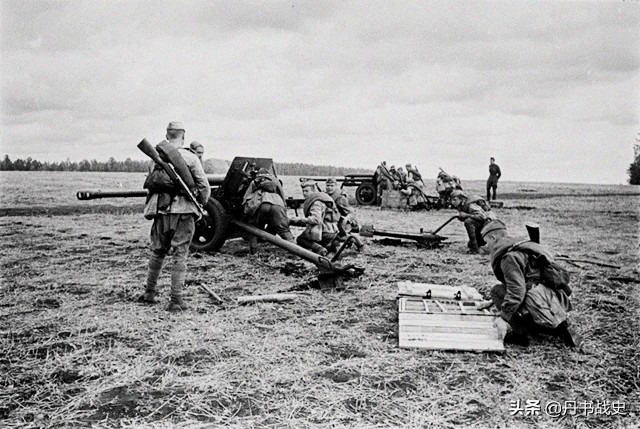 山炮是什么意思东北的山炮是什么意思