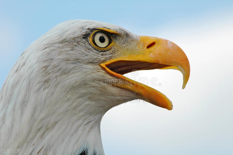 想要眼睛有神，眼里有光，这样做就对了
