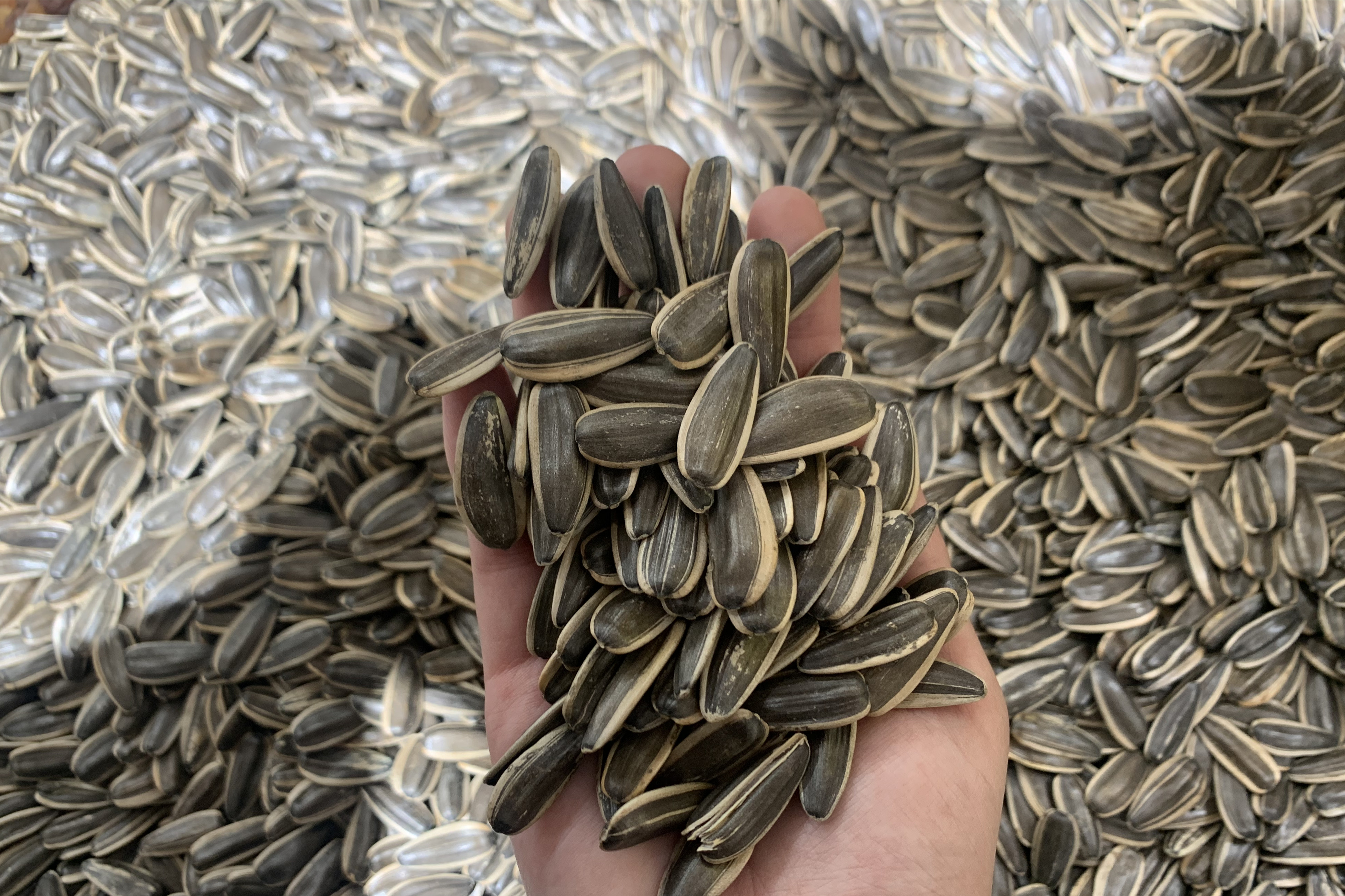 年货买瓜子,要"原味"还是"多味"的,猫腻不小,别花钱买罪受