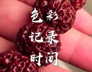 大金刚菩提的尺寸不好选吗?