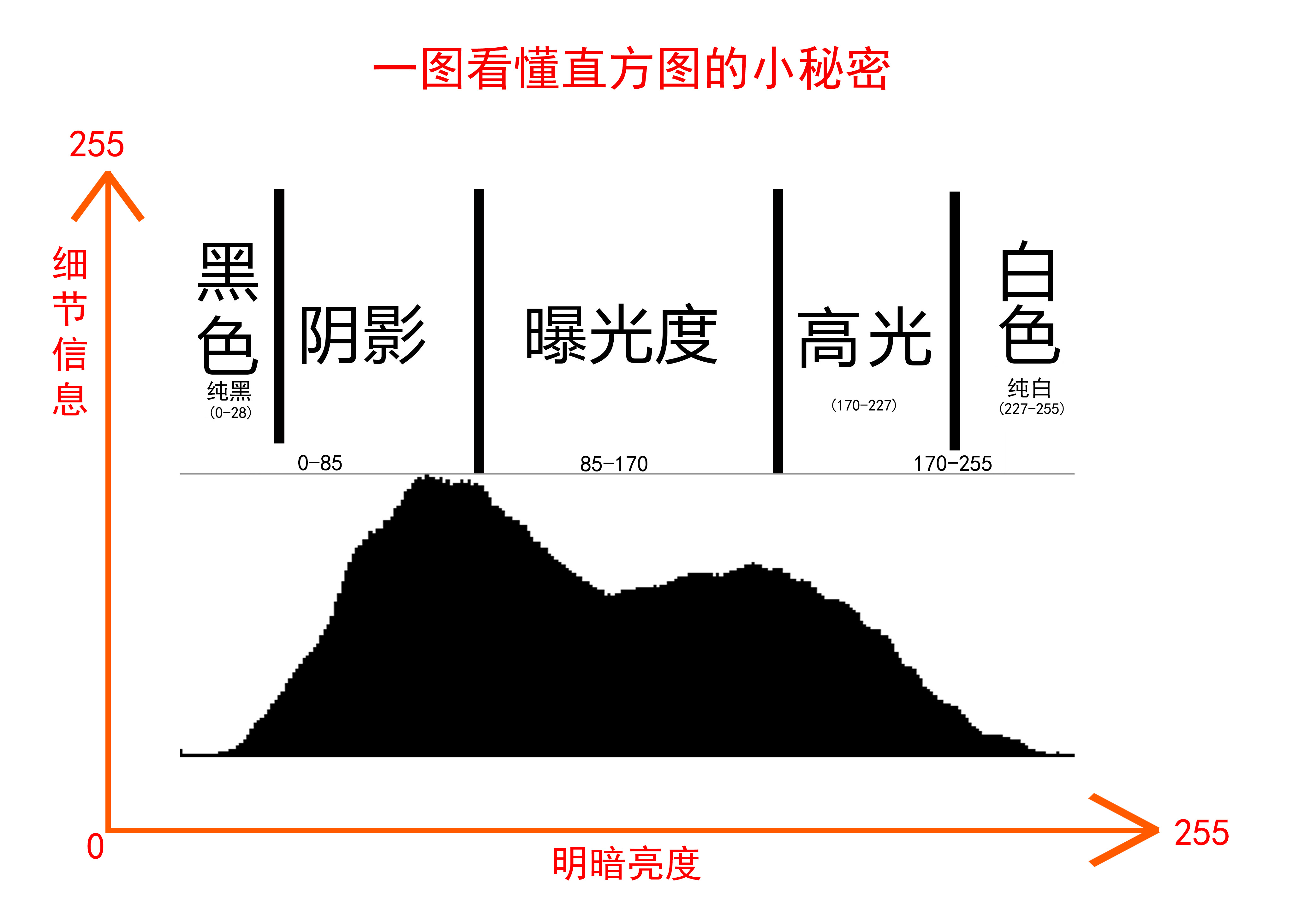 6分钟详细讲解直方图，从原理到运用、再到注意事项及核心用法