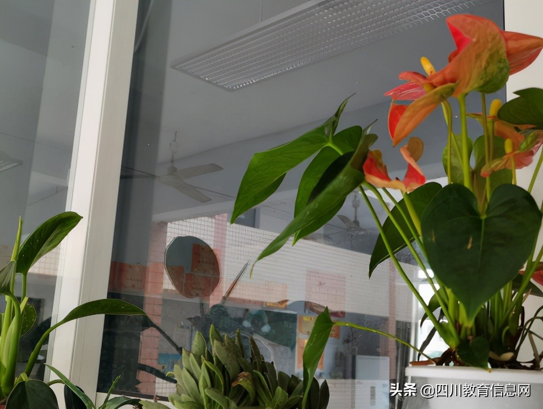 遂宁高级实验学校外国语学校小学部举行“最美教室”评比活动