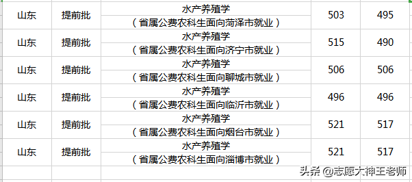 2020鲁东大学在山东本科录取情况（2021考生收藏）