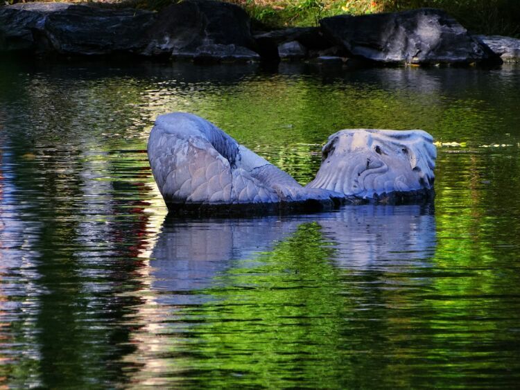 北大印象，漫步北大校园