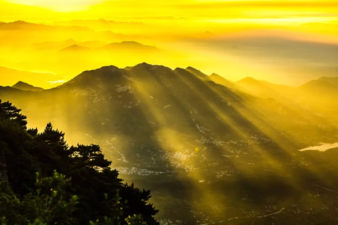 5块钱的泰山,为什么在现实中看不到?