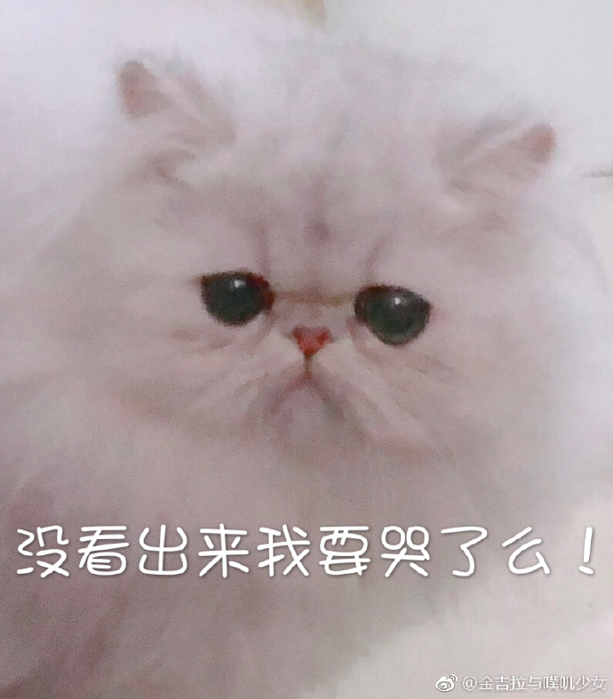 表情包：爱情的夹缝夹了谁？