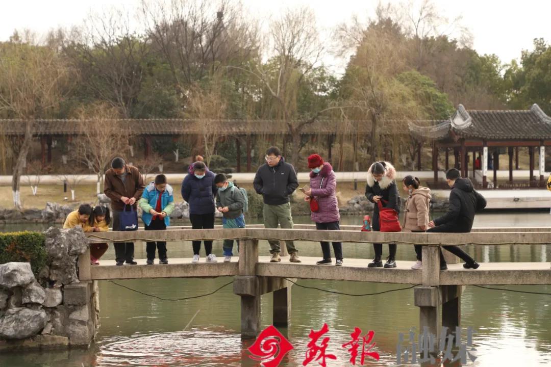 假期余额不足，苏州还有这十处美景值得打卡