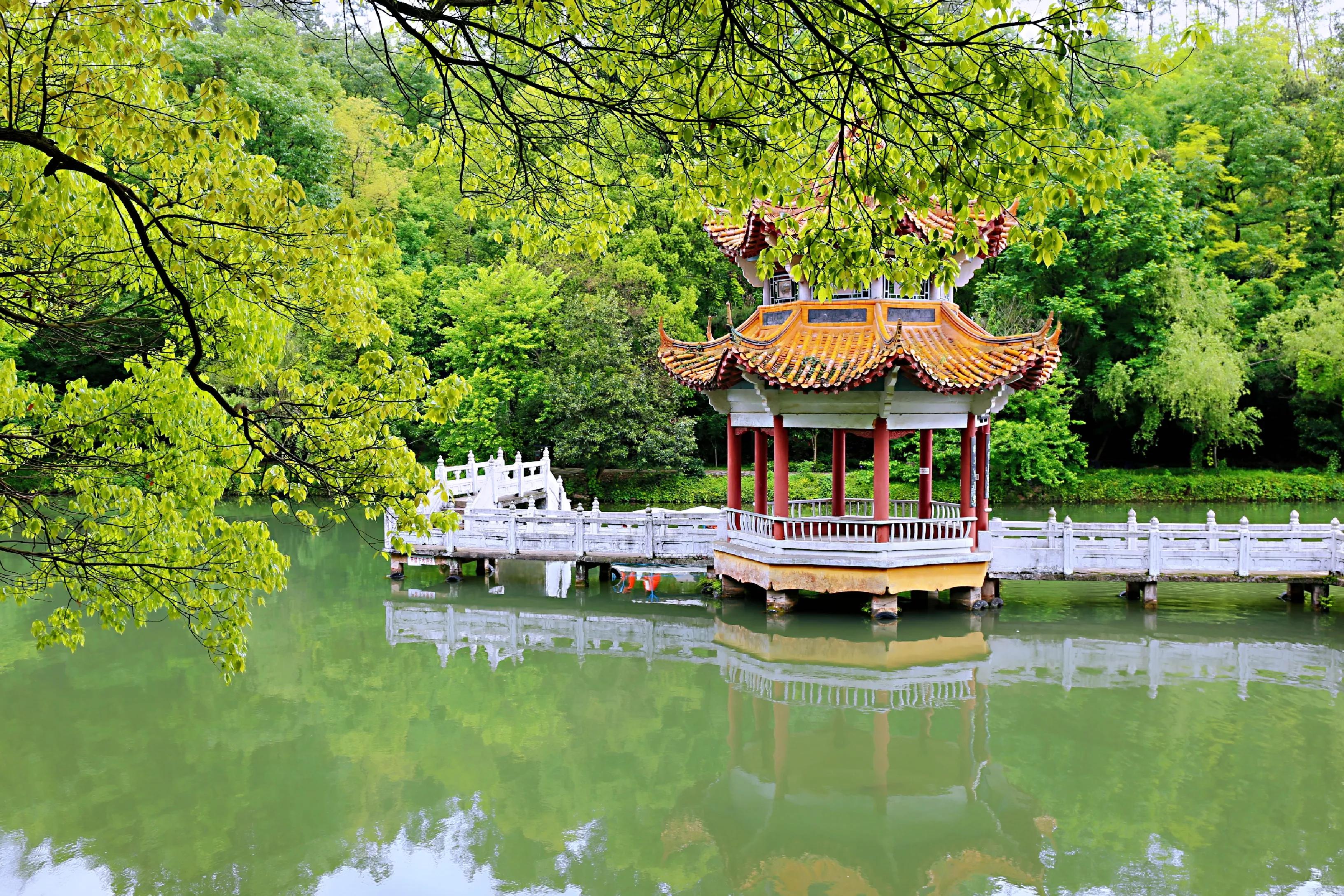 自驾湖北当阳游