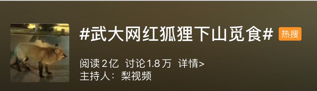 高校各种“神兽”出没，你的大学有什么？