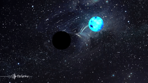 黑洞与中子星相遇，是将其吃掉还是被撑死？科学家已拍到真实场景