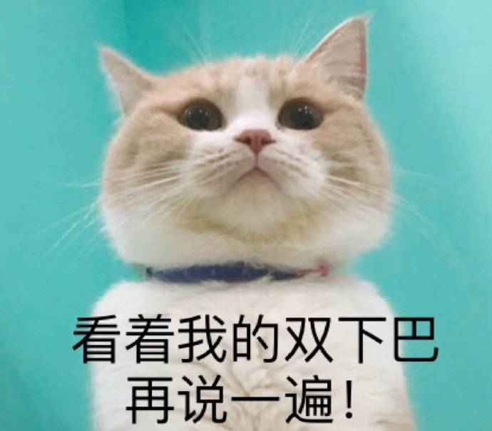 猫咪表情包合集｜生活奇奇怪怪，我得可可爱爱