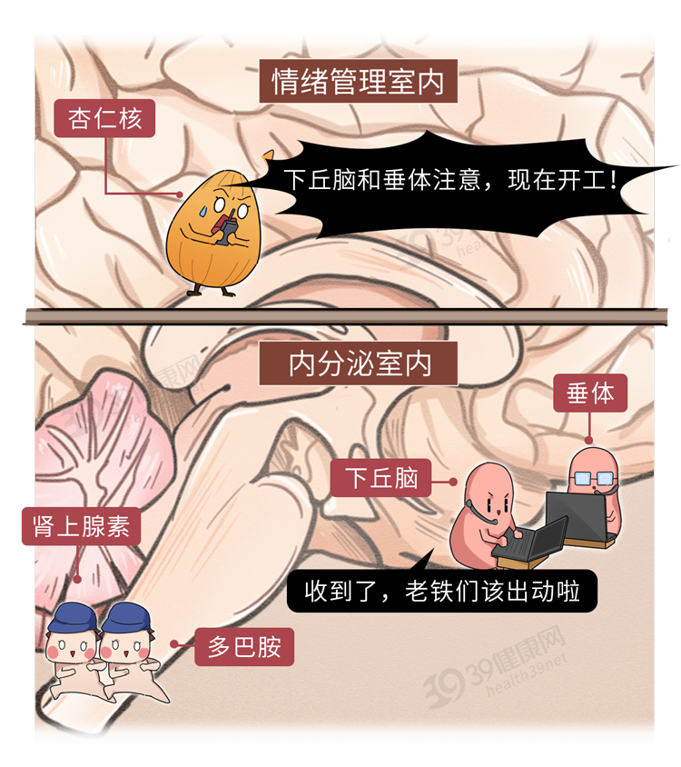 这些病都是被“气”出来的！看完这6大危害，别生气，气病没人替