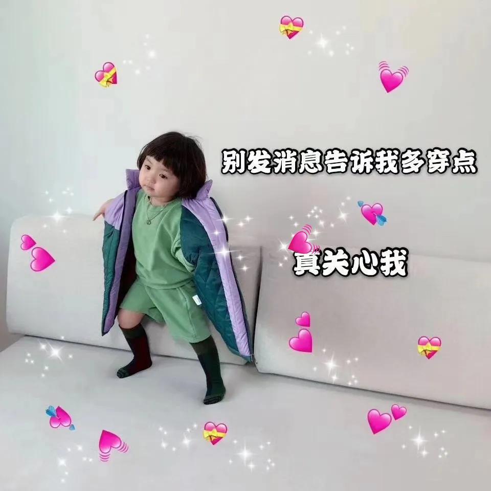 表情包：别发消息告诉我多穿点，真关心我你给我买
