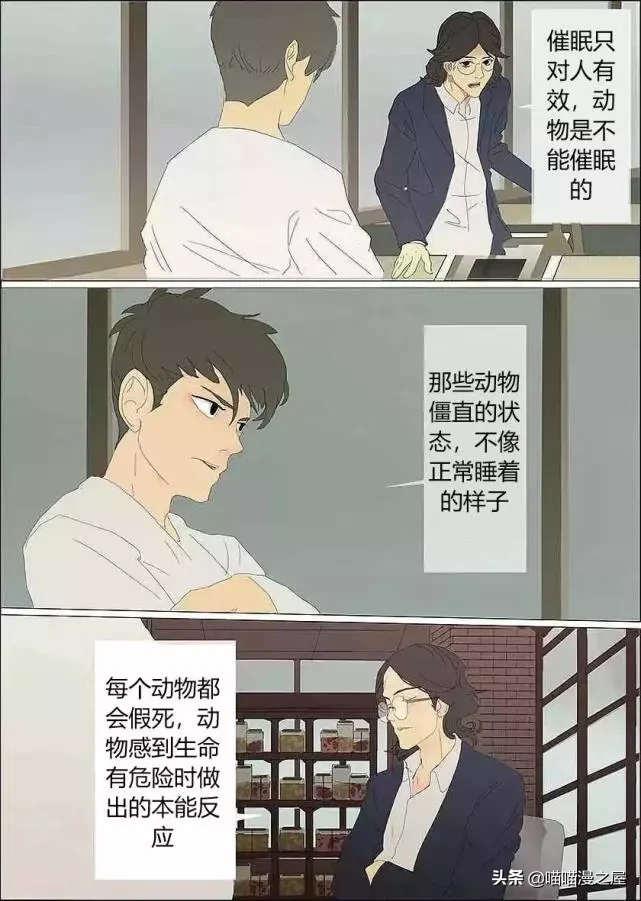漫画《会催眠术的小女孩》，这到底是催眠还是假死呢？