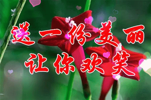 11月19日,一世牵挂,一生朋友,送给在乎的朋友,愿友谊天长地久