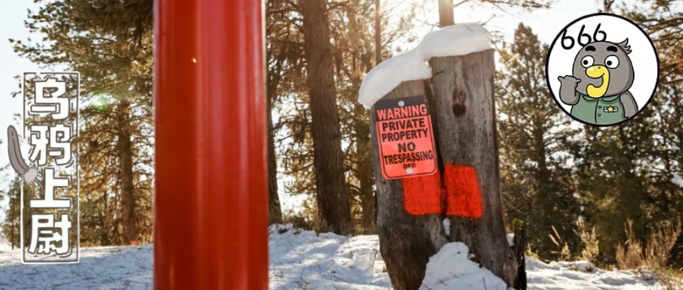 学院催眠奴隶（皿煮200年）