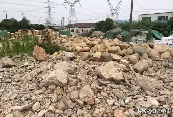 院子里应该有个小池塘，没有就自己动手挖个！（附实际操作图）