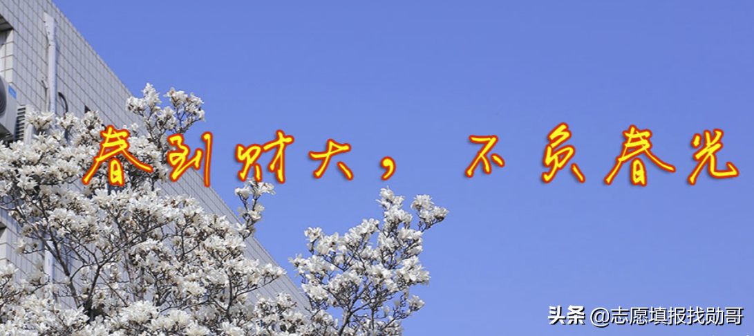 除了两财一贸，这三所财经大学也不错，高考分不高，但就业前景好