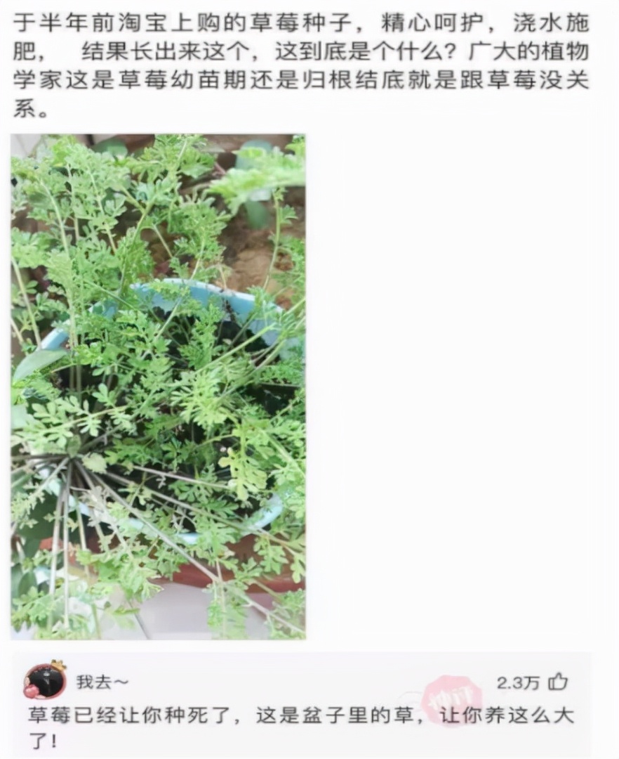 “旁边的女同事穿成这样，有点过分了啊！”玩够评论笑得肚子疼