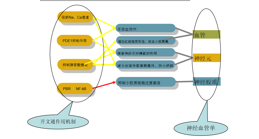 科普：植物提取的长春西汀，或可改善卒中后，从生存“通”向生活