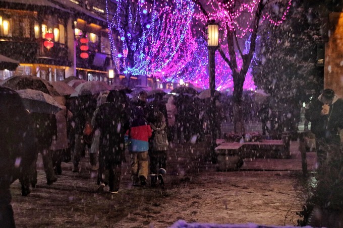 南京下了雪啊，就成了金陵！南京三日游记