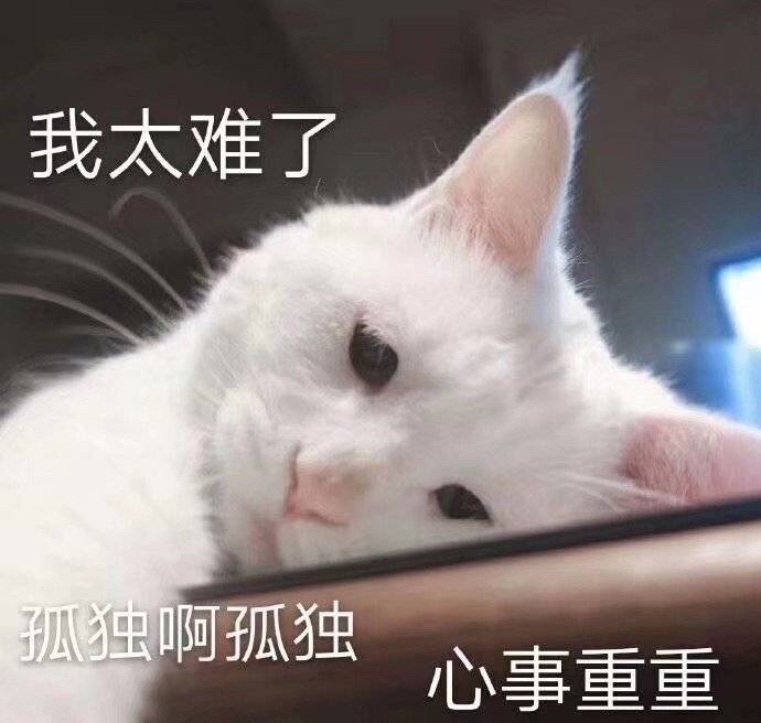 孤独 落寞的图片我一个人挺好