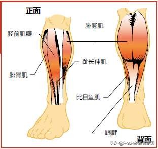 萝卜腿不敢穿小黑裙？最全瘦小腿套餐，一周拯救小腿粗恣意穿