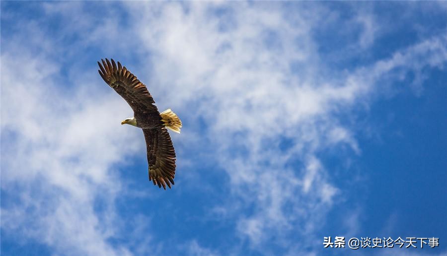 如何用诗歌优雅怼人，分分钟变文艺骚年？古代文人有妙句