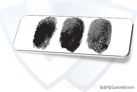 十，网络安全.论文之基于机器学习算法的主机恶意代码