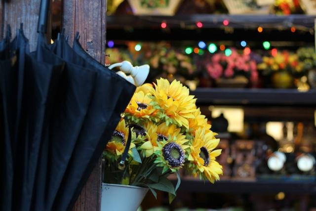 处女座：希望行你所行，爱你所爱！既能拥抱生活，又能嫁给爱情