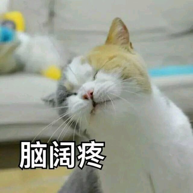 可爱的猫咪表情包合集｜哥哥，出来玩吗