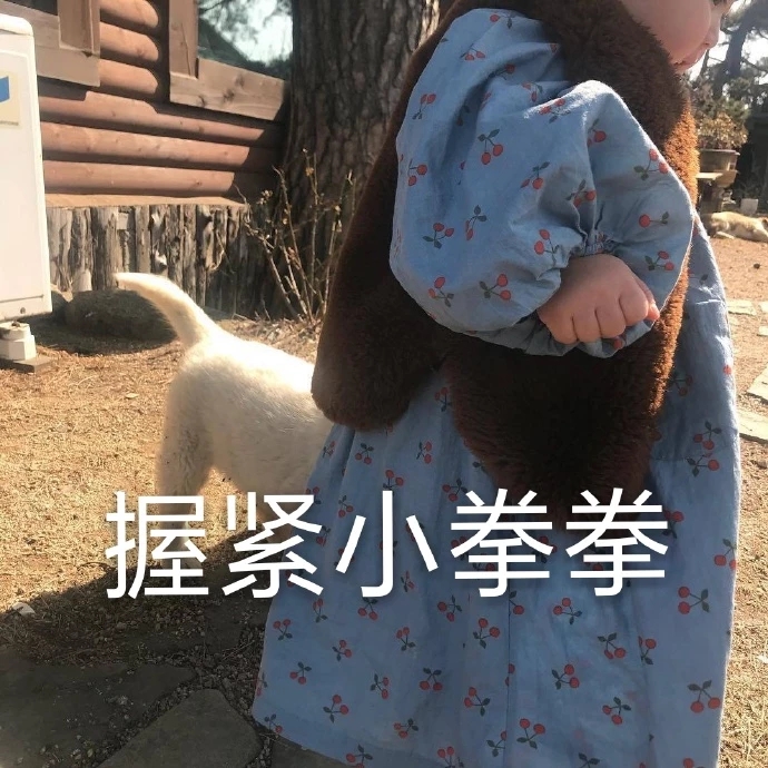 表情包：你要抬杠吗