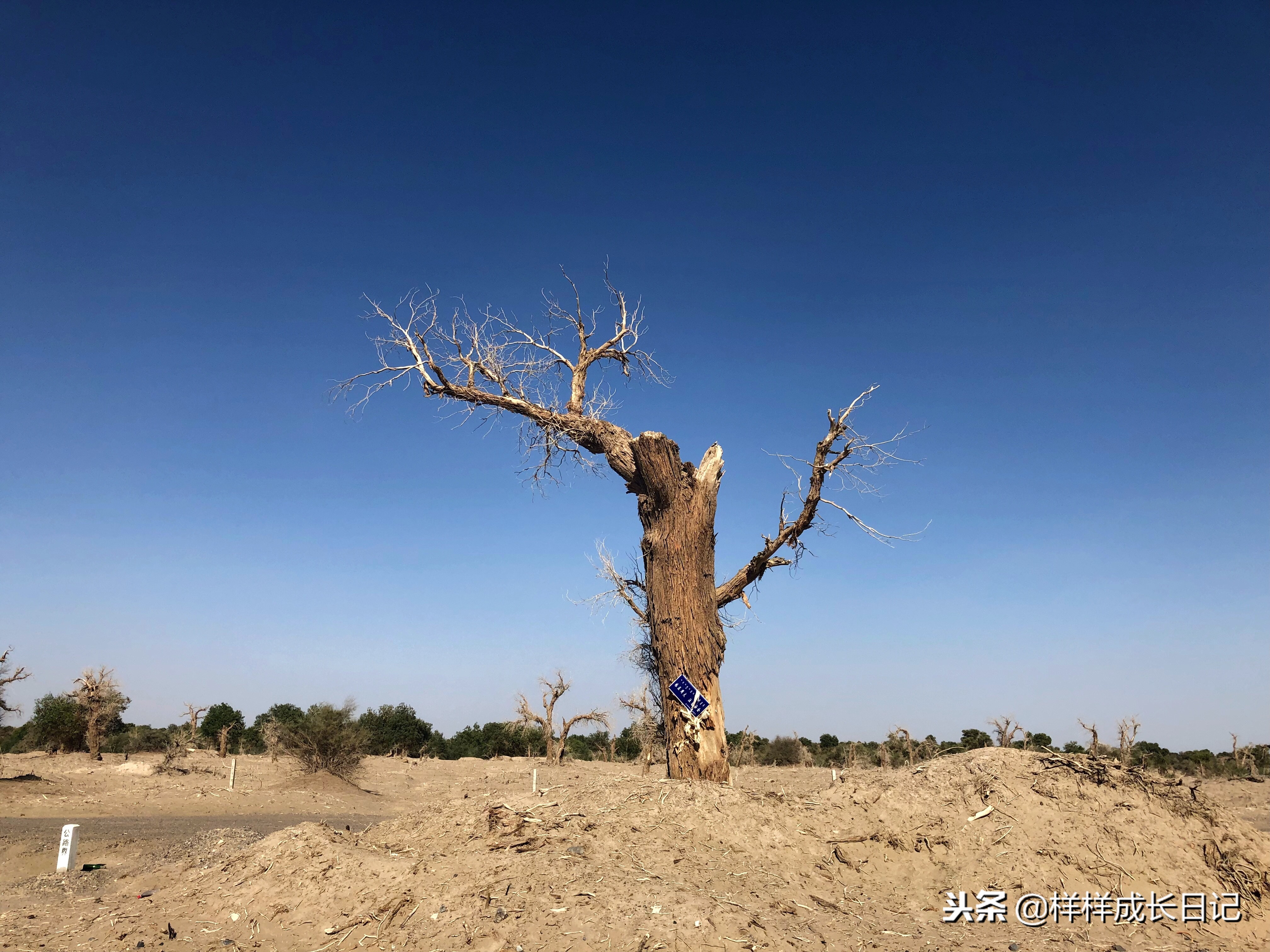 一家三口自驾去新疆，环南北疆27天15000公里，吃住行玩详细攻略