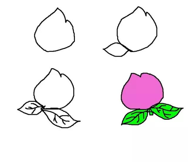 简笔画 | 儿童水果简笔画教程大全,一看就会,建议收藏