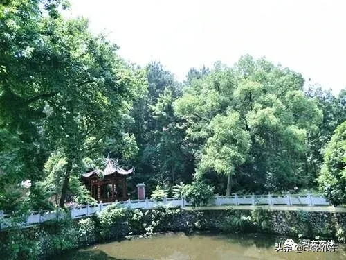 「家乡祁东」白地市记忆