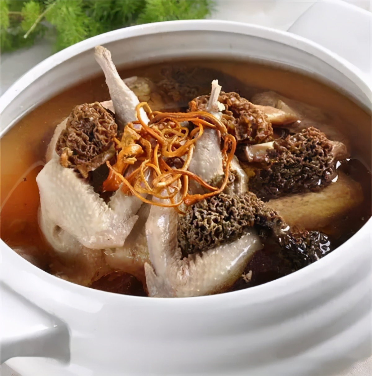 天府旅游美食·舌尖上的非遗 | 羊肚菌炖鸡：汤响松风，味浓香永