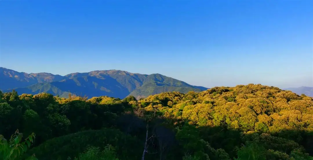 惊艳!生物多样的保山,美到你无法想象