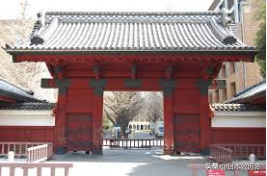 EJU成绩已尘埃落定！请收下这份成绩解读以及择校建议