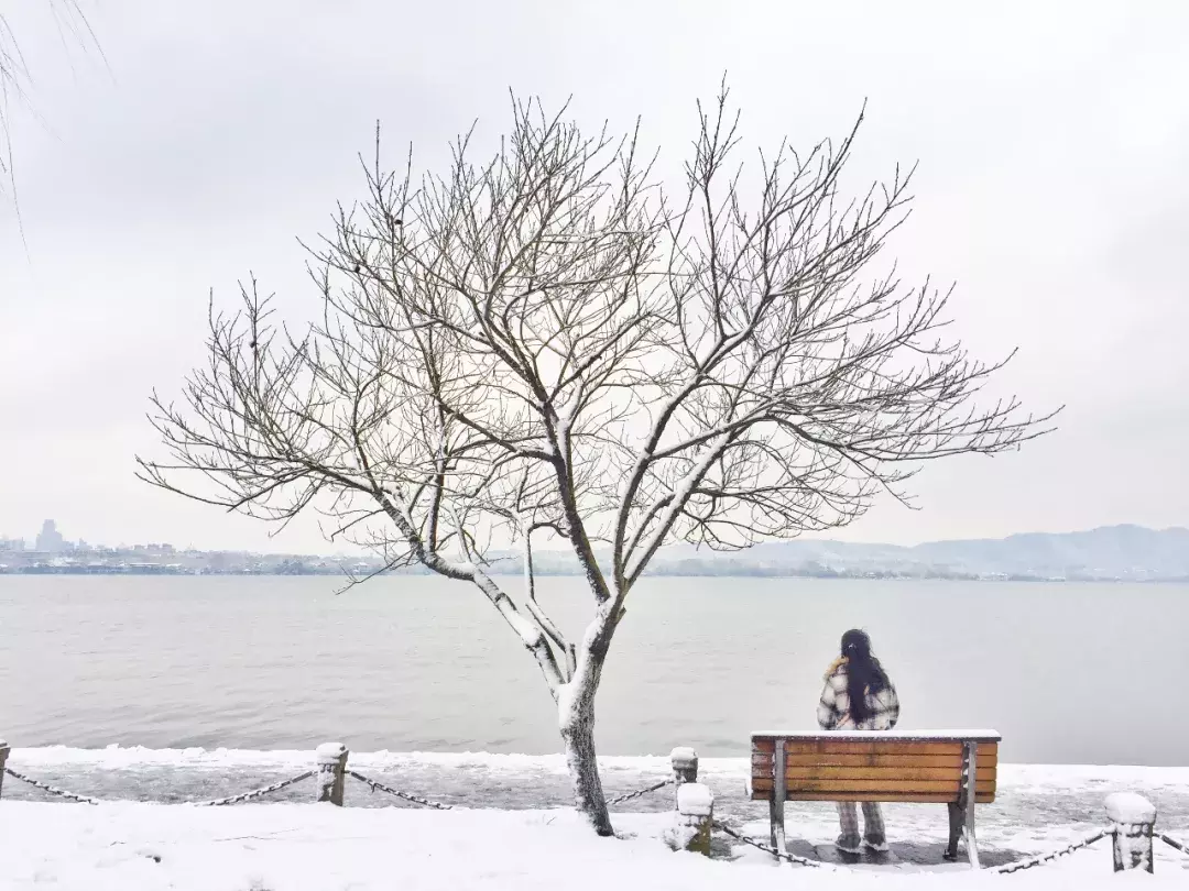 印象｜西湖雪满，江南寂美