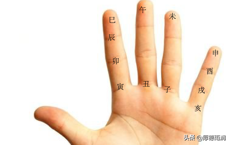 地支手掌方位图,手掌地支对应图(第5页)_大山谷图库
