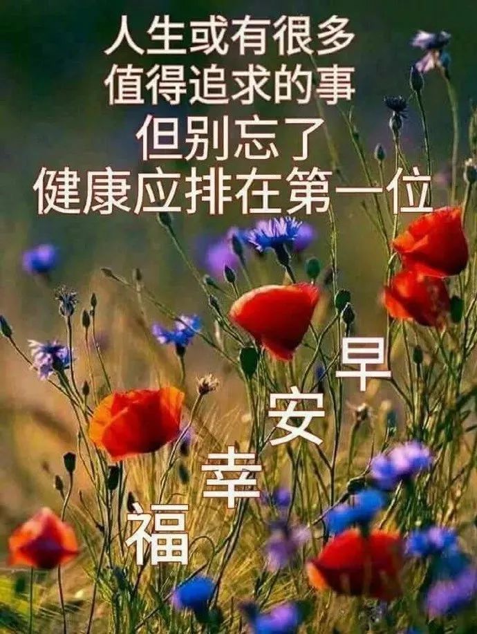 爱情不是菜，不要乱动筷；不是你的人，不要拥入怀，早安